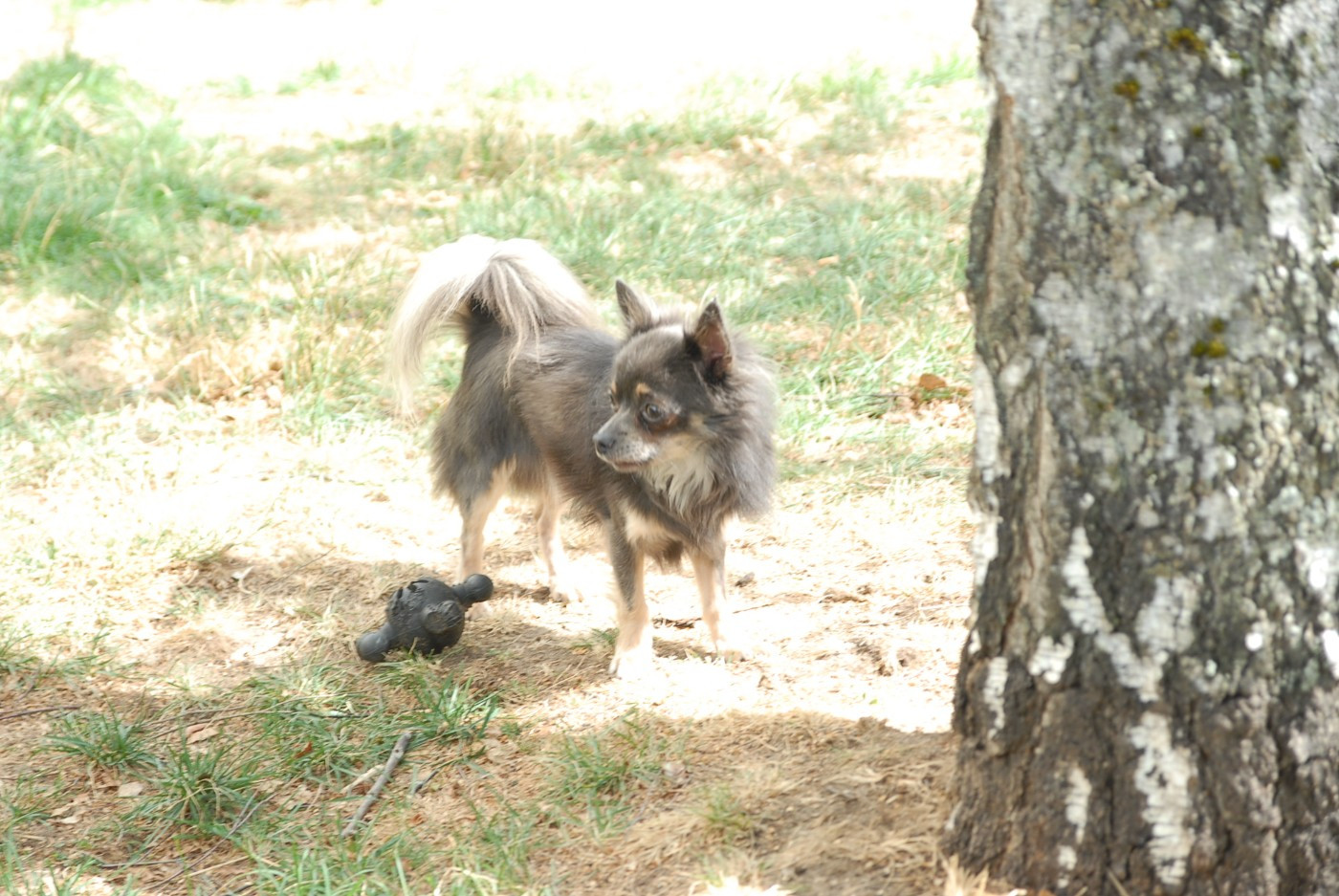 ULK  Des Terres De Sam